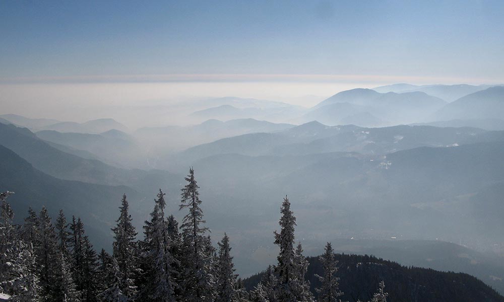 gruenschacher